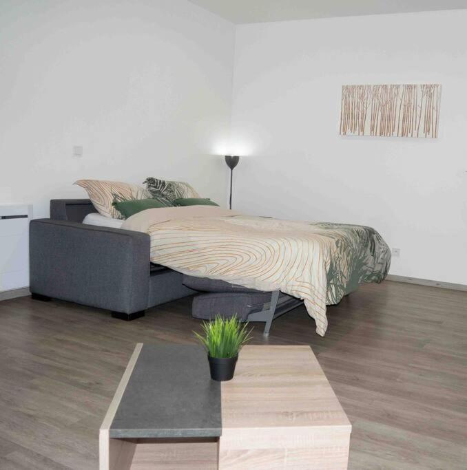 *Douceur Des Tropiques*Parisis Apartment Argenteuil Ngoại thất bức ảnh